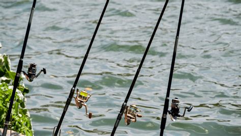 ultra light fishing rod|9 Best Ultralight Fishing Rods and Why .